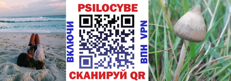 как найти   Шахты  мориарти телеграм  Псилоцибиновые грибы MAGIC MUSHROOMS 